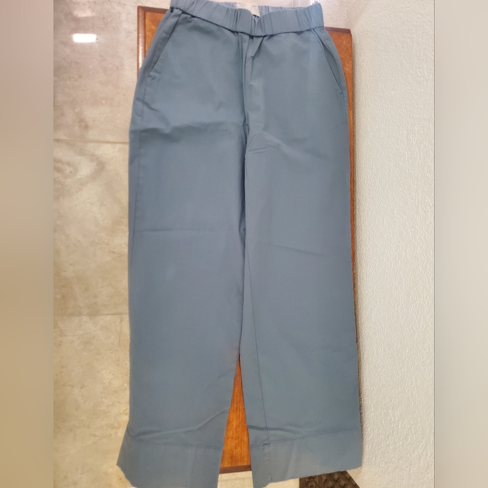 Everlane Easy Pant Blue Teal Size 6